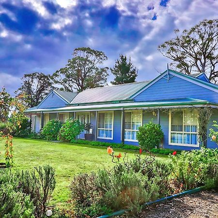 Marigold Cottage, A Blue Mountains Oasis- Spacious, Views & Kangaroos Little Hartley Buitenkant foto