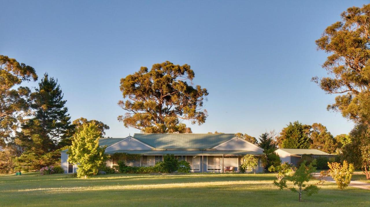 Marigold Cottage, A Blue Mountains Oasis- Spacious, Views & Kangaroos Little Hartley Buitenkant foto