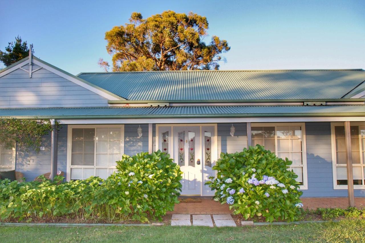 Marigold Cottage, A Blue Mountains Oasis- Spacious, Views & Kangaroos Little Hartley Buitenkant foto