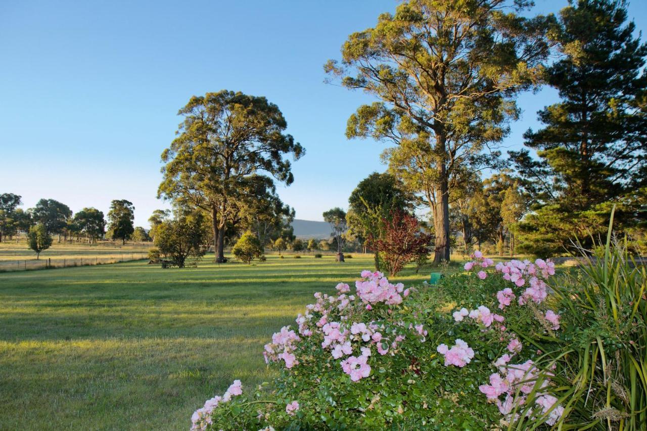 Marigold Cottage, A Blue Mountains Oasis- Spacious, Views & Kangaroos Little Hartley Buitenkant foto