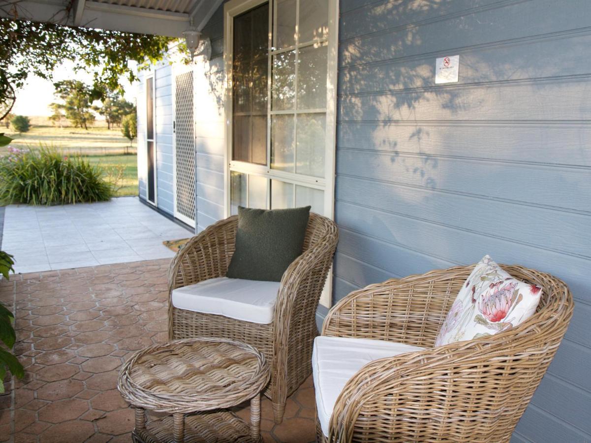 Marigold Cottage, A Blue Mountains Oasis- Spacious, Views & Kangaroos Little Hartley Buitenkant foto