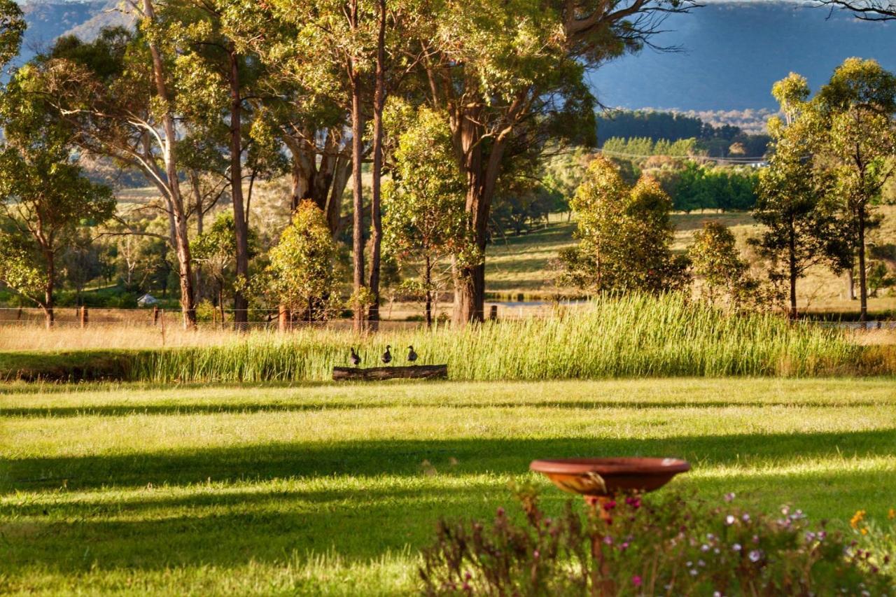 Marigold Cottage, A Blue Mountains Oasis- Spacious, Views & Kangaroos Little Hartley Buitenkant foto