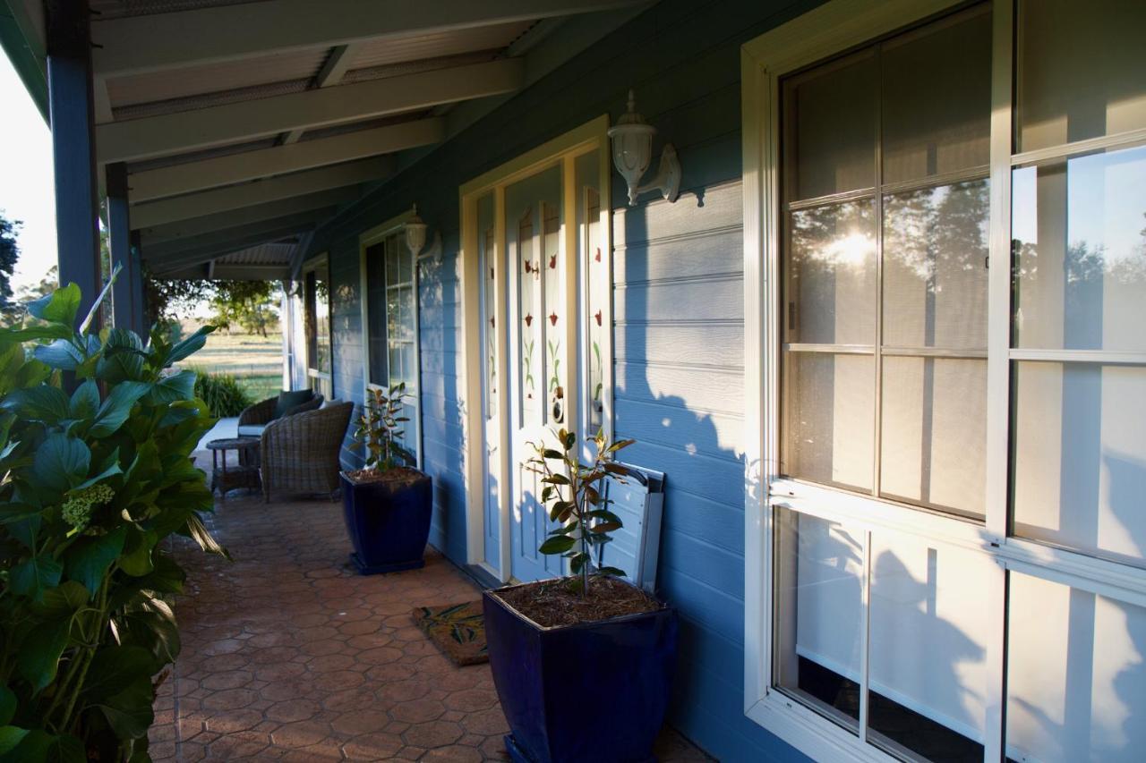 Marigold Cottage, A Blue Mountains Oasis- Spacious, Views & Kangaroos Little Hartley Buitenkant foto