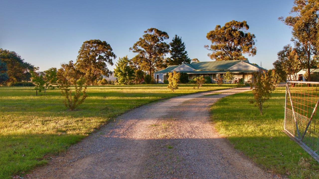 Marigold Cottage, A Blue Mountains Oasis- Spacious, Views & Kangaroos Little Hartley Buitenkant foto